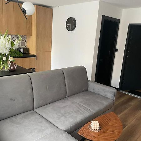 Apartamenty Nadrzeczna 14 Karpacz Εξωτερικό φωτογραφία