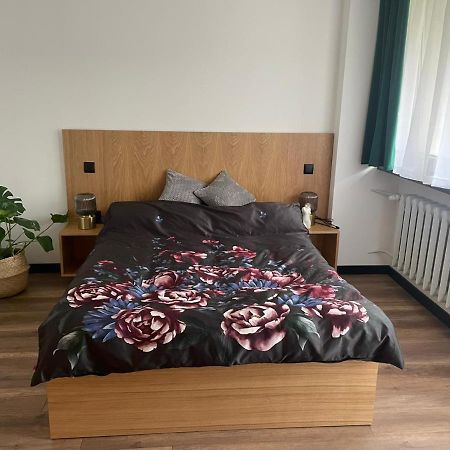 Apartamenty Nadrzeczna 14 Karpacz Εξωτερικό φωτογραφία