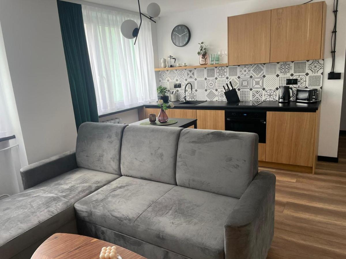 Apartamenty Nadrzeczna 14 Karpacz Εξωτερικό φωτογραφία